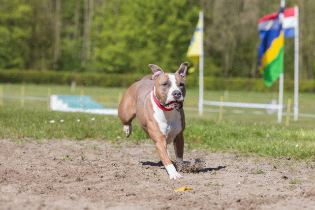 3Y3A7159 26799861955 O