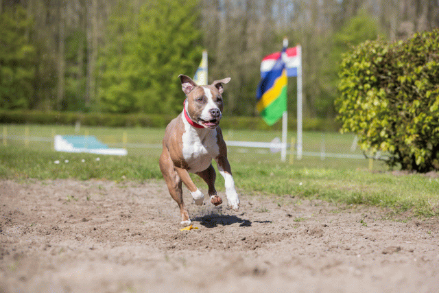 3Y3A7160 26799862235 O