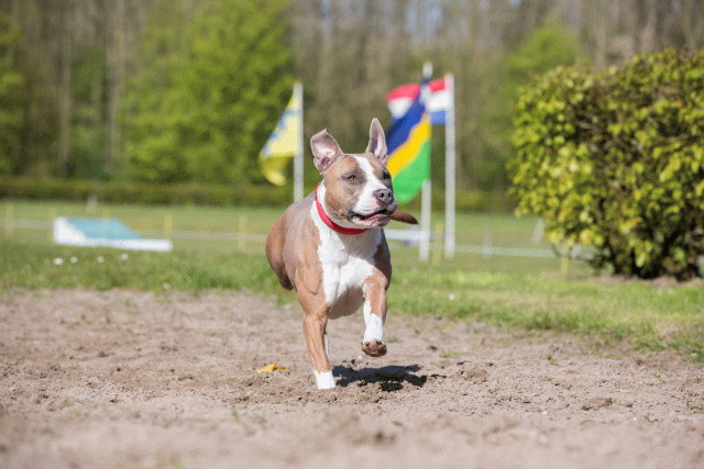 3Y3A7161 26799860925 O