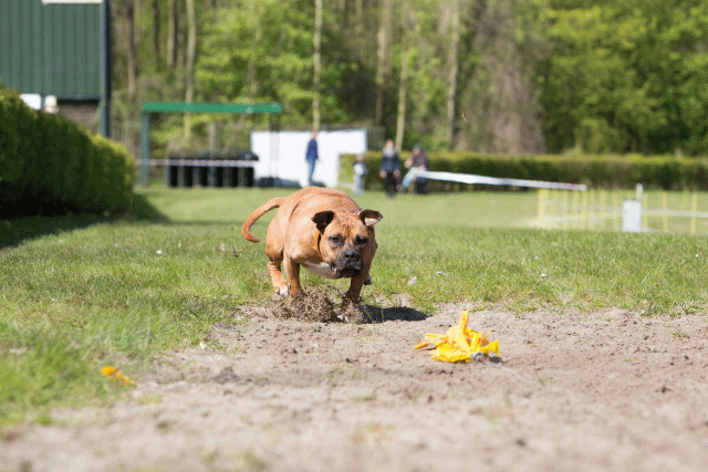 3Y3A7166 26527915770 O