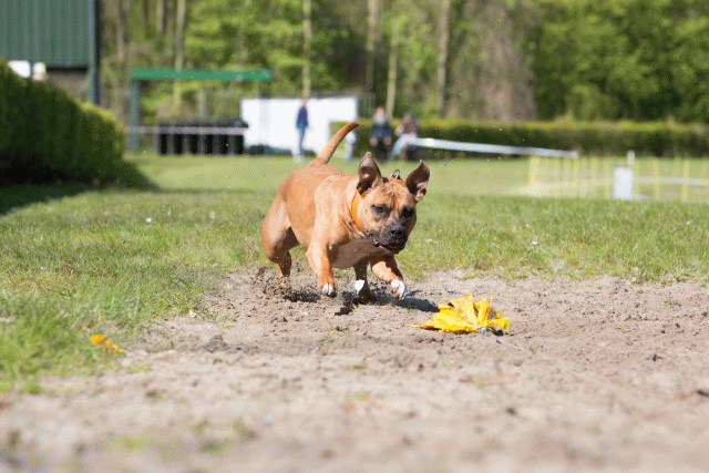 3Y3A7167 26196340333 O