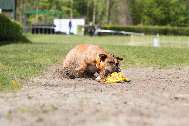 3Y3A7168 26527914920 O