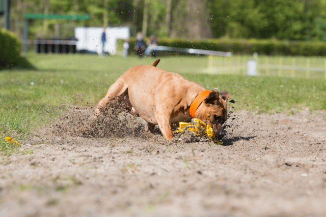 3Y3A7169 26775551066 O