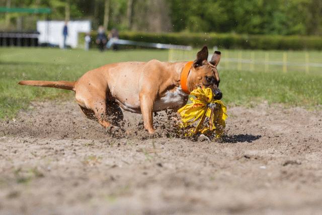 3Y3A7170 26527913840 O