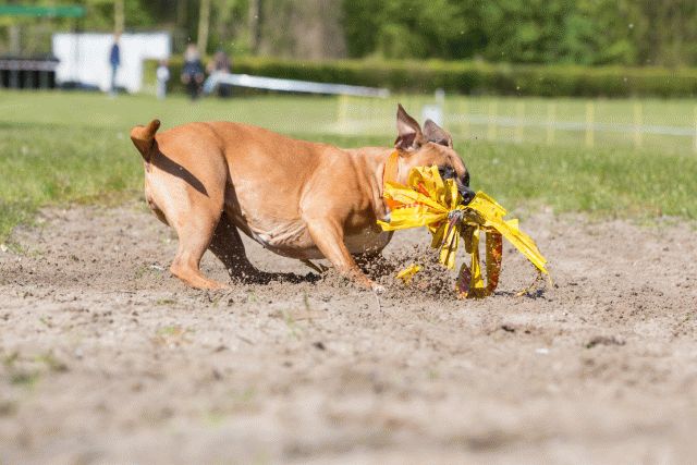 3Y3A7171 26196339843 O