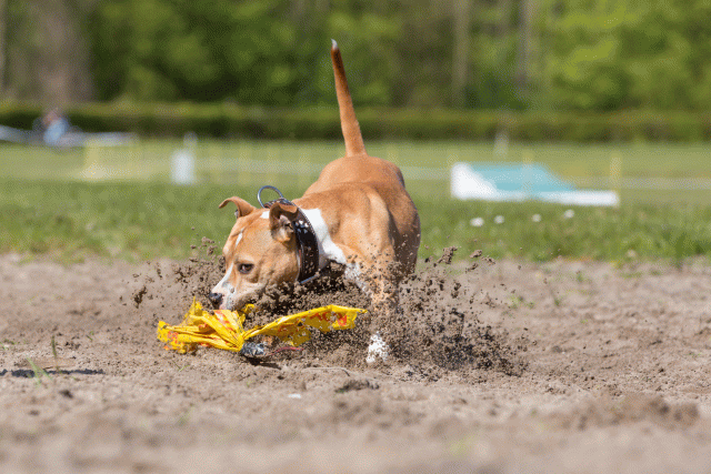 3Y3A7202 26527912020 O