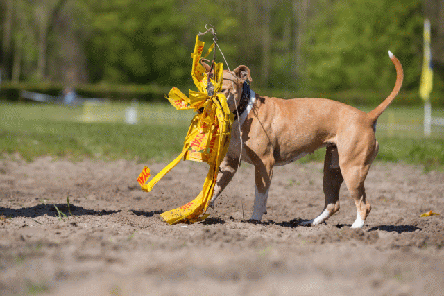 3Y3A7206 26527911040 O