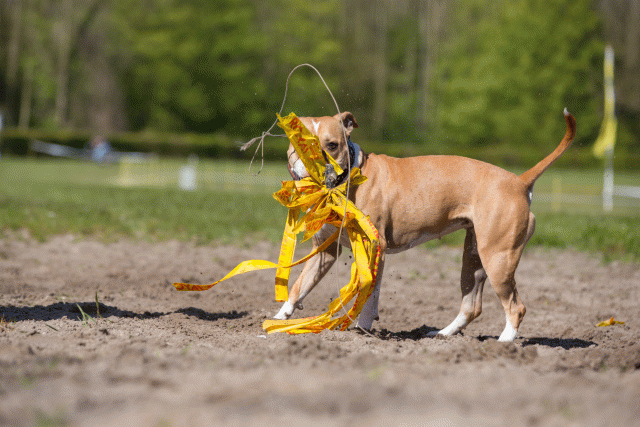 3Y3A7207 26196327653 O