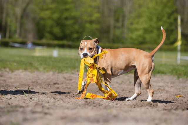 3Y3A7208 26527876160 O