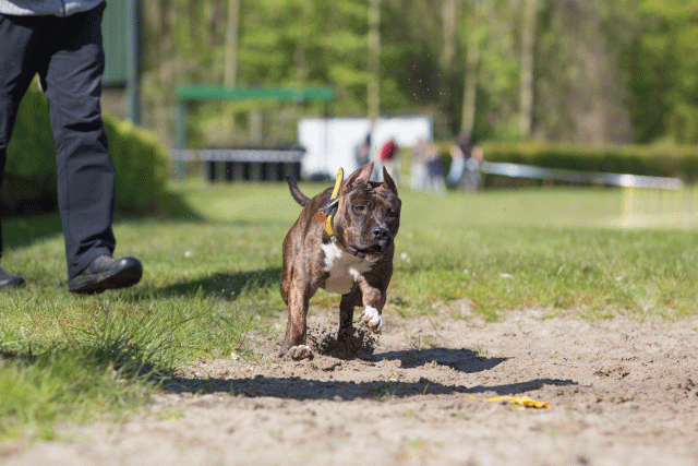 3Y3A7222 26733190991 O