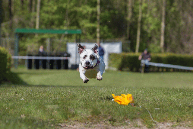 3Y3A7254 26775550796 O