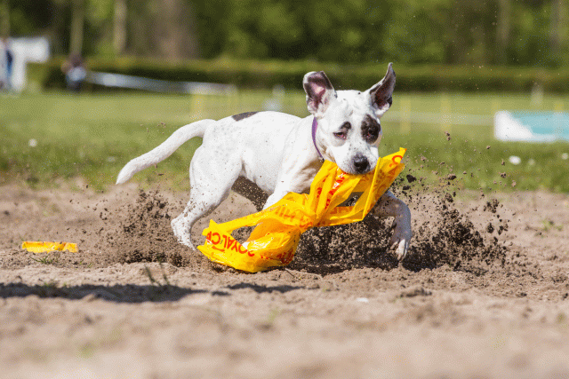 3Y3A7260 26527907570 O