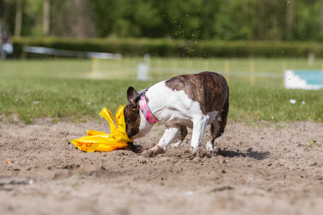 3Y3A7276 26527905740 O