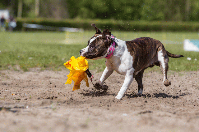 3Y3A7277 26799846975 O