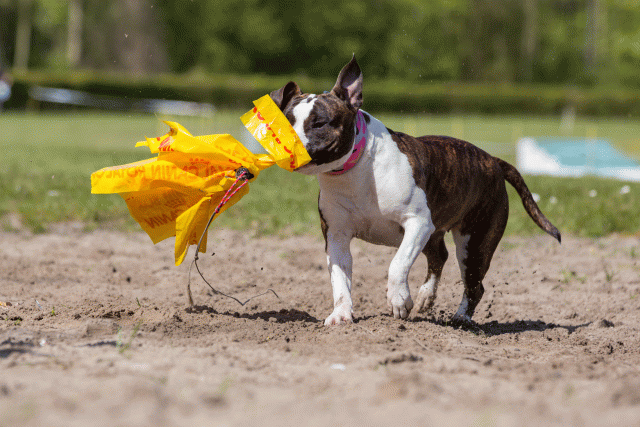 3Y3A7278 26527904880 O