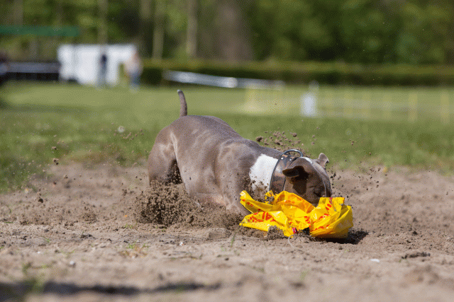 3Y3A7284 26527903930 O