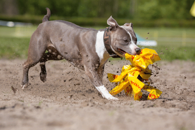 3Y3A7286 26196339413 O