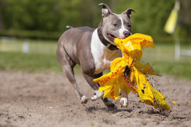 3Y3A7287 26733184741 O