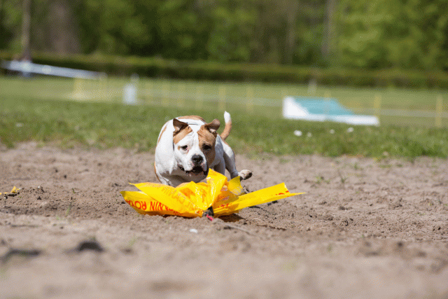 3Y3A7294 26733183651 O