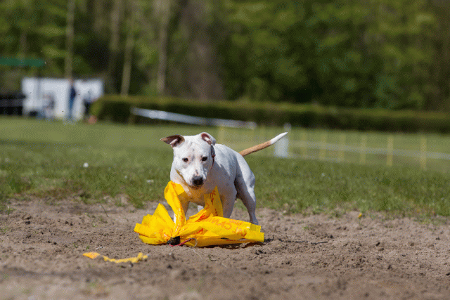 3Y3A7307 26527901350 O