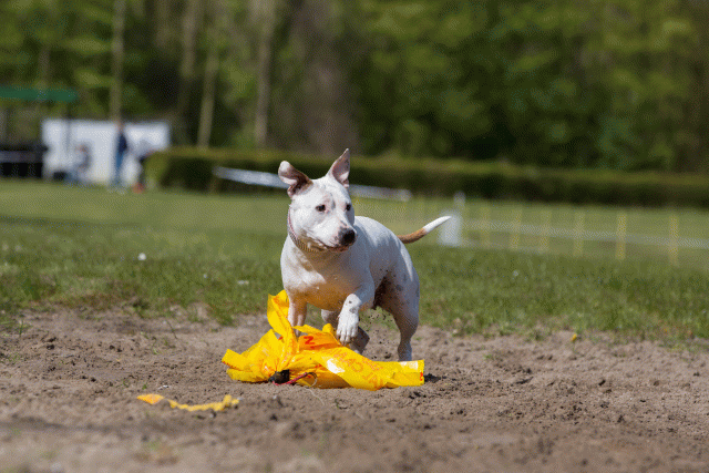 3Y3A7308 26733181771 O