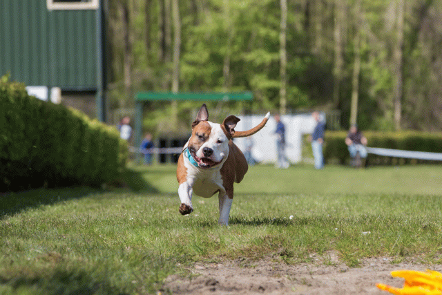 3Y3A7311 26527900990 O