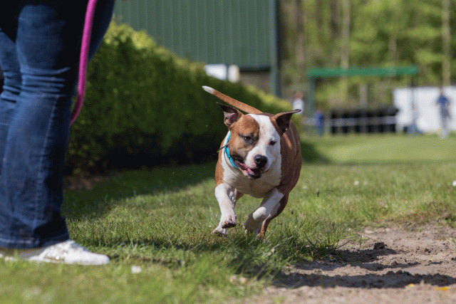 3Y3A7314 26527900530 O