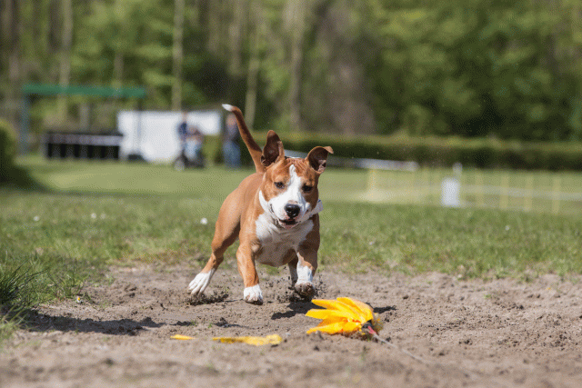 3Y3A7326 26196298393 O