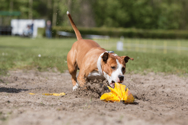 3Y3A7328 26733180001 O