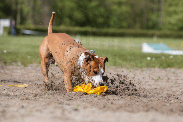 3Y3A7329 26196318353 O