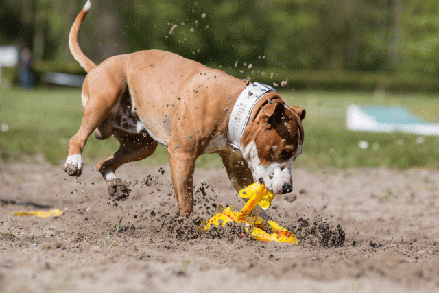 3Y3A7330 26733179441 O