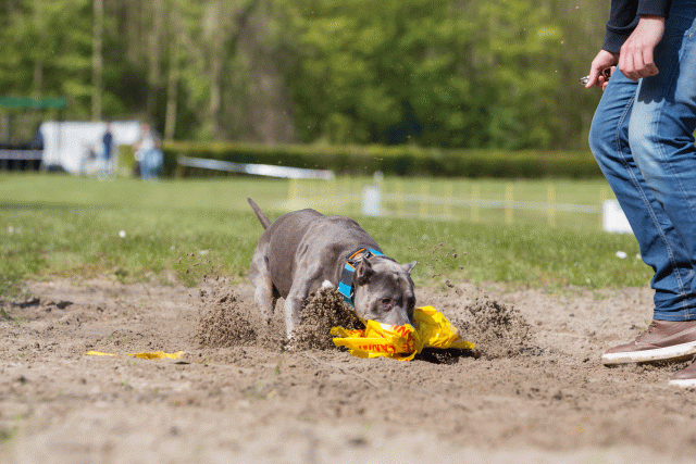 3Y3A7335 26775536386 O