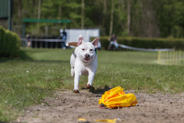 3Y3A7341 26775535986 O