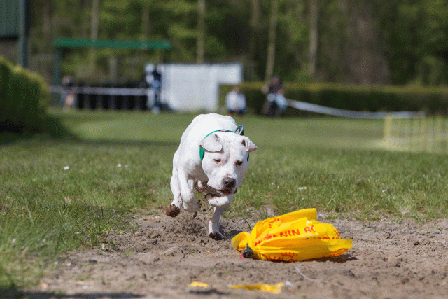 3Y3A7342 26775535716 O