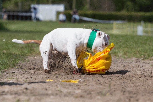 3Y3A7344 26775535146 O