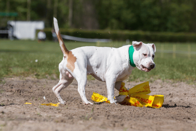 3Y3A7347 26775534996 O