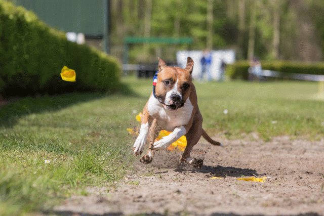 3Y3A7355 26527896190 O