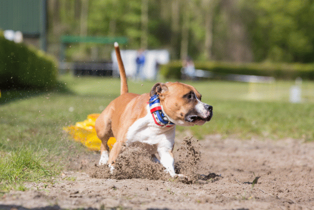 3Y3A7356 26527874560 O