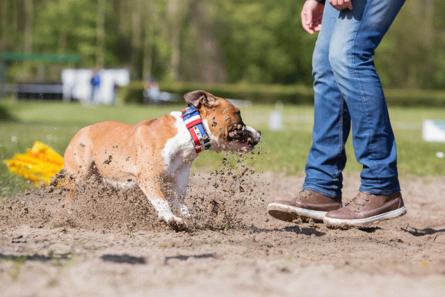 3Y3A7357 26775534256 O