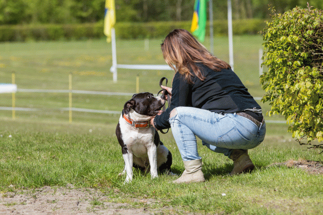 3Y3A7360 26527895170 O