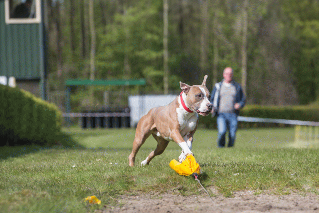 3Y3A7365 26775533316 O