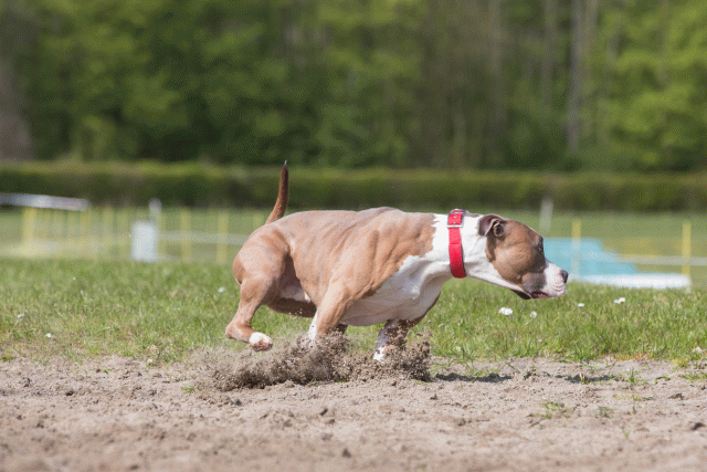 3Y3A7368 26196315713 O