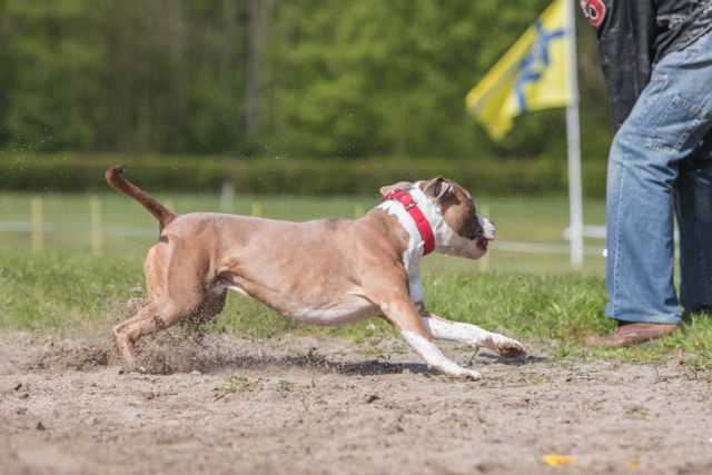 3Y3A7369 26775532576 O