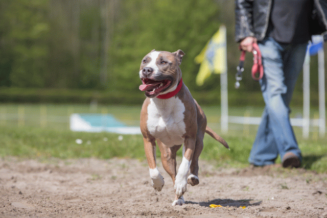 3Y3A7371 26196315293 O