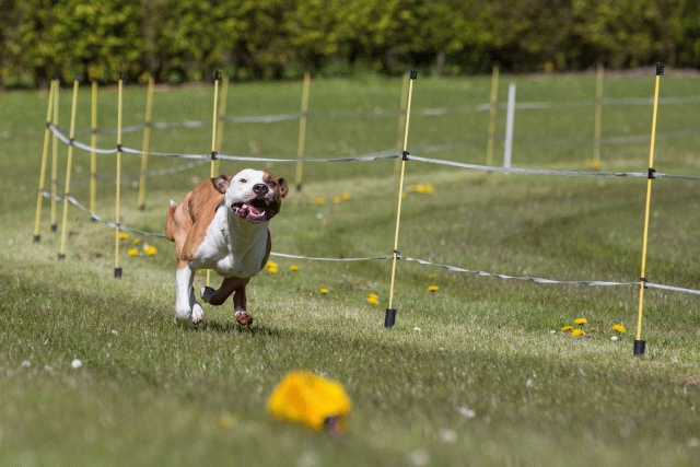 3Y3A7380 26775531316 O