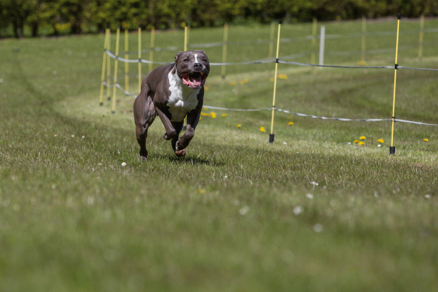 3Y3A7389 26527926970 O