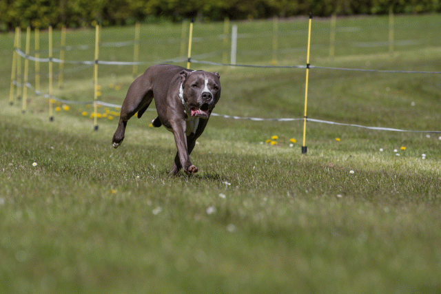 3Y3A7390 26775530716 O