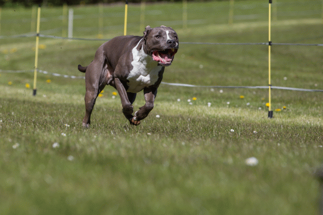 3Y3A7391 26733174331 O