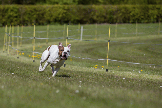 3Y3A7398 26196297243 O