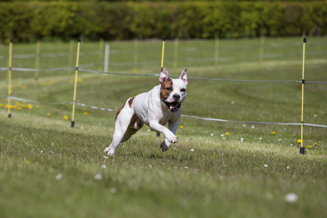 3Y3A7399 26194986494 O